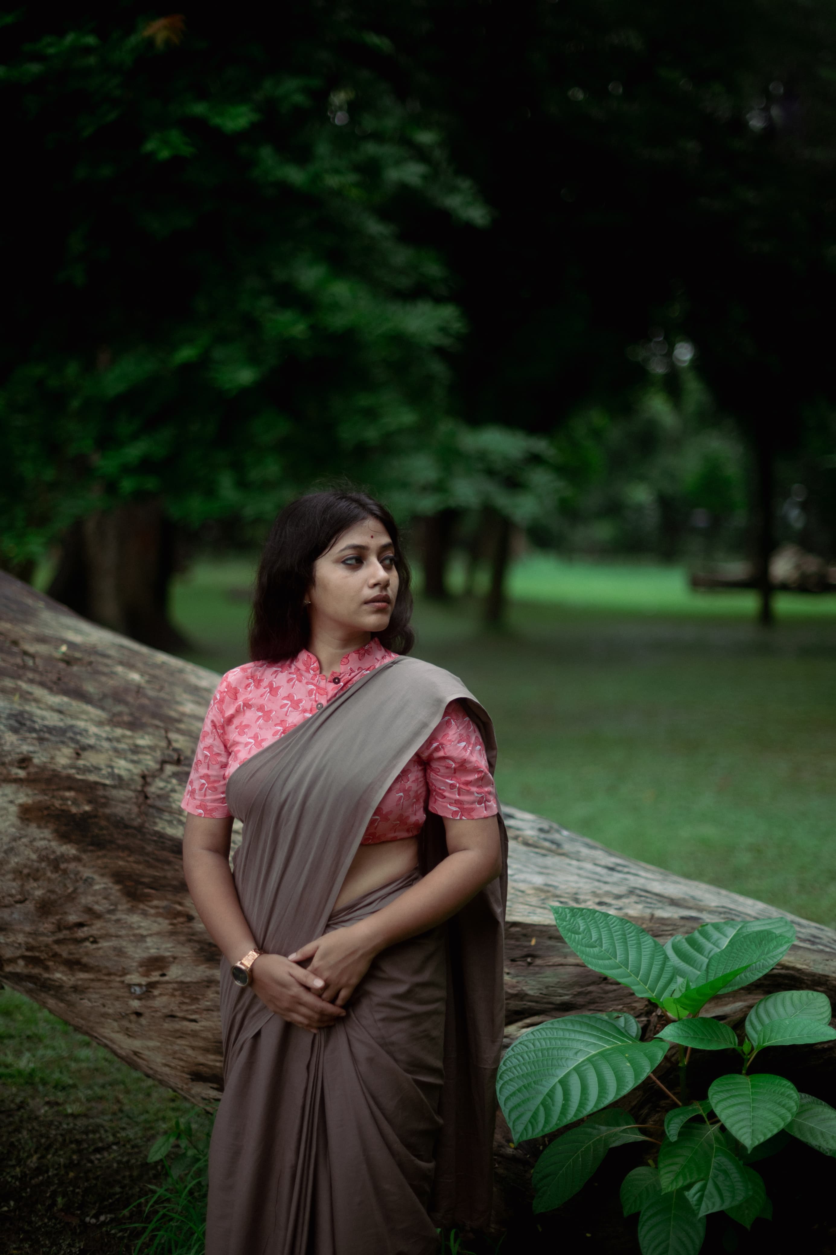 Natural Grey Plain Dyed Mul Mul Cotton Saree with Tassels (without Blouse)